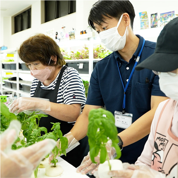 農園責任者