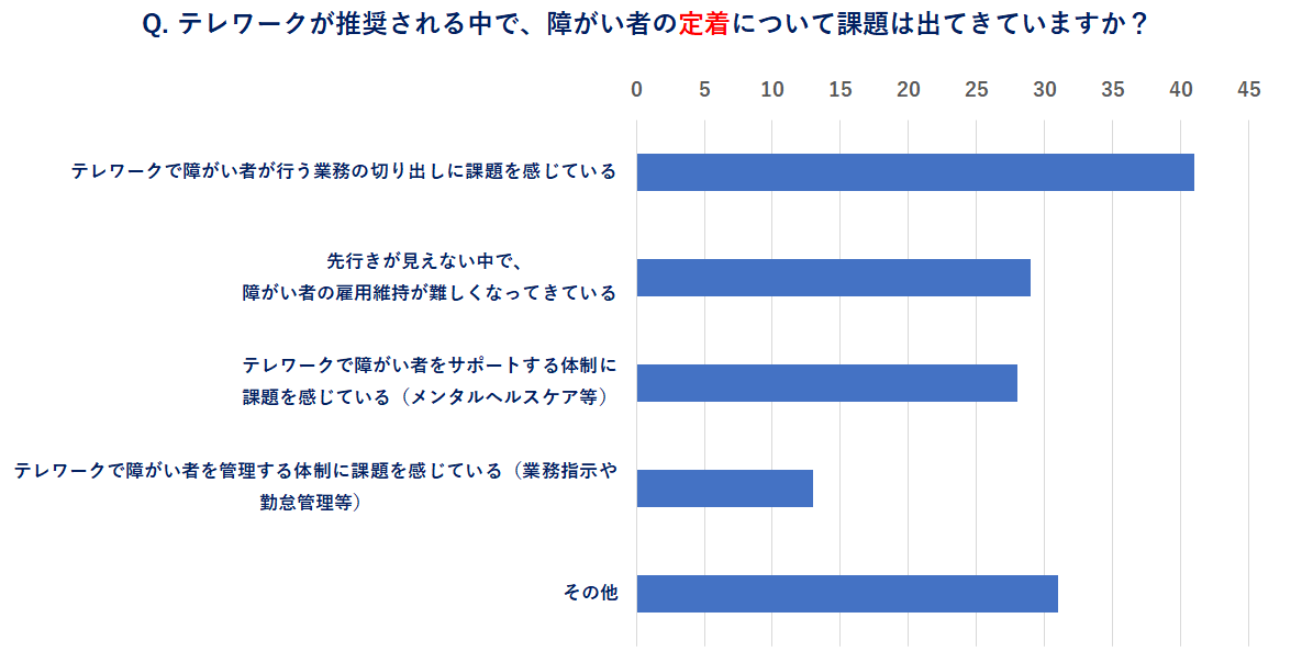 障害者雇用　定着　課題